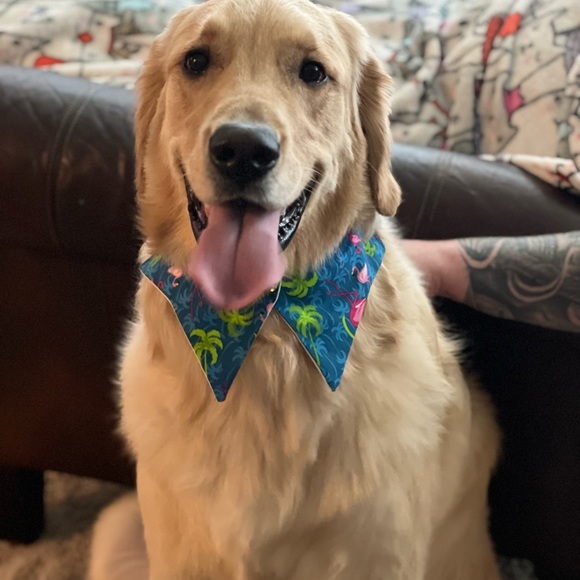 Hai I’m Beckylee :) - Picture 3 of 3